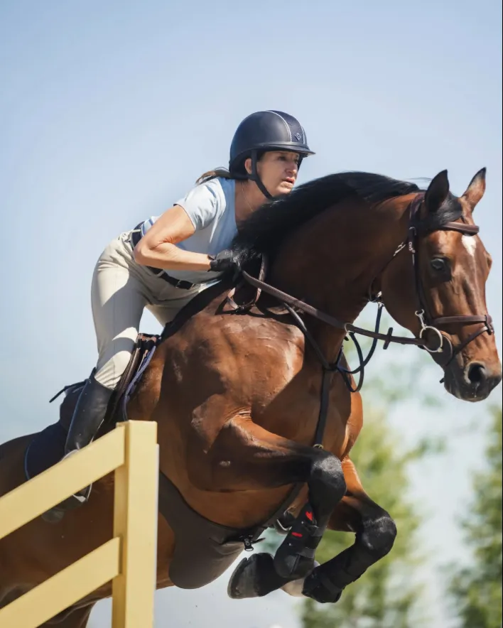 Horse and rider jumping